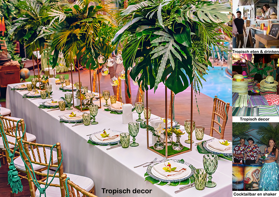 Tropische decoratie en entertainment